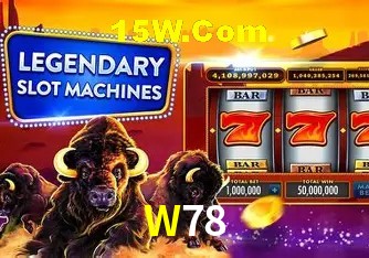 W78 Salvador - Support